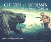 cat gods 1.png from cat goddess special