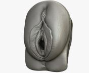 1.jpg from 3d vaginal se