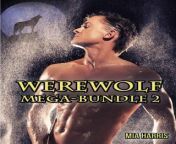 the werewolf mega bundle 2 ten bbw paranormal erotic romance stories.jpg from 武汉约炮 微信9570335 武汉光谷小姐按摩 0203
