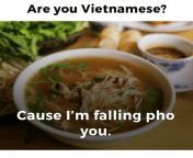 are you vietnamese cause im falling pho you 4440520.png from meme xxx pho