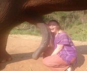 girl loves elephant cock in her face 11590.jpg from elefint sex
