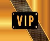 pngtree vip gold net background image 355284.jpg from hd vip