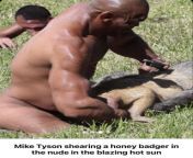 mike tyson shearing a honey badger in the nude in the v0 kwxshyyooc0a1 jpgwidth640cropsmartautowebps608ed5714eb2c89c49c087dbd548835924f32f96 from mike tyson nude