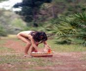 23956132 a lovely young brunette bends down to get something from her picnic basket on a tranquil forest.jpg from lovely nudist