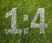 101192628 1 4 score on soccer meadow.jpg from 4 1