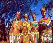 zf6 2069982.jpg from zulu tribe ladys