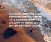 2491812 jens jensen quote all our moments are last moments we abide in the.jpg from last moments in the