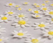 easy daisies and leaves 9 edit.jpg from daisy made