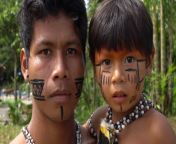 indigenous tribes day to day life.jpg from indigenous tribe in the amazon basin in