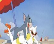s1 243.jpg from tom and jerry xxx photo