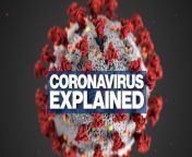 200310 vod orig coronavirus explainer hpmain 16x9 992 jpgw992 from virus video