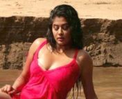 x720 from tamil actress priyamani fuck