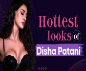 disha hot looks.jpg from disha patani sex serial