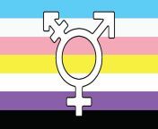 trans and nonbinary flag landscape.jpg from non binary
