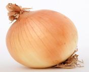bulb onion.jpg from image result for onion src pth chan ru avioundarya nude sex photos