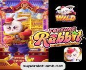 fortune rabbit เกมกระต่าย.png from fortune rabbit【gb777 bet】 dxvf