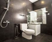 d061833507b4a410 6272 w312 h312 b0 p0 modern bathroom.jpg from srilanka bathroom wala adum galawan