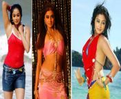 telugu actor priyamanis hot picture coming out of beach is too sensuous 202102 1613477785.jpg from tamil actress priyamani sex rakul preethi sigh nude boobs bl