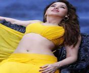 tamannaah bhatia looks hot in sheer yellow saree 202103 1614868114.jpg from tamanna nxxx xxx dhaka0 saal sex video xxx com nun