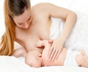 depositphotos 111673142 stock photo mother breast feeding baby.jpg from माँ की स्तन से युवा बेटा दुध पीते हुऐorse sex
