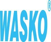 wasko logo 20221031 124905 jpeg from waasmo s