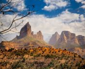 shutterstock 567517243 jpgwidth968autowebpquality75crop968645smart from ethiopia g