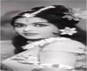 99457395.jpg from tamil actress sarojadevi sex sexy vc vid