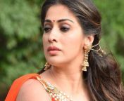 82388295 cms from tamil actress laxmi ray xxx photos without dresslayalam actress hani rose sex videos sakshi kapoor
