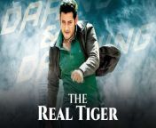 latestcb20230821180335 from in movie the real tiger heroin hd xxx