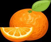delicious orange fruit clipart design illustration free.png.png from orane