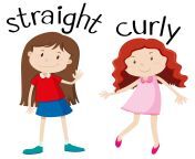 vector opposite wordcard for straight and curly.jpg from straght