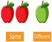 opposite adjectives words with same and different free vector.jpg from the little and image same ka