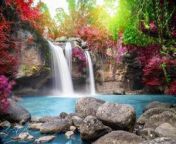 8062987 viagem para a bela colorida majestosa cachoeira no parque nacional floresta durante outono agua suave do corrego no parque natural foto.jpg from imagem naturesa tik tok