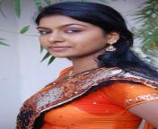 akshitha stills www chennaifans com 4 jpgw829h1414crop1 from tamil aunty hot armpit sweaty and smellanni