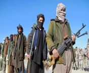 taliban militants jpgve1tl1ve1tl1 from terrorist