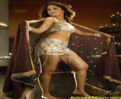 anushka196.jpg from actressalbum com worlds most sexy south indian actresses hot photos 14 jpg