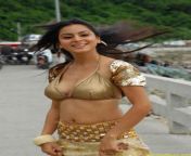 actressalbum com shraddha arya hot gallery 2 711x1024.jpg from shraddha arya nangi photos