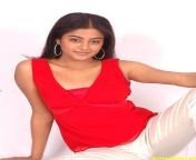 actressalbum com priyamani latest spicy stills 16.jpg from tamil actress priyamani sexpot sexy kissing videos