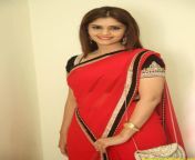 actressalbum com surabhi hot photos in red saree 1.jpg from surabhi xray nud