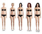 types of body shapes 5 body shapes.png from 36 28 36 body shapes hot sex