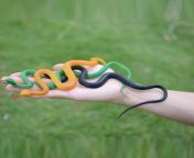 simulation rubber snake fake artificial rubber faux snake model toy snake fake animal gift halloween costume jpeg from snakes fake video com