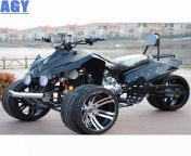 agy winch supported 3 wheel trike petrol motorcycle.jpg from trike petrol com