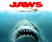 jaws poster.jpg from teaserposter jpg