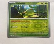 temporal forces reverse 010 162 turtwig from 041 032 010