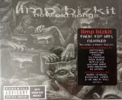 limp bizkit new old songs 2001 from new old song