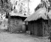 african home 2007186 960 720 jpegsize690388 from downloads india in telangana village sex videos telugusex bhabi