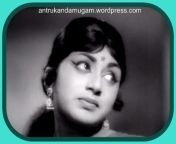 t a pramila vaazhaiyadi vaazhai 2re 1 jpgw450h334 from old tamil actor prameela sex videosdian aunty saree videos 3gpig