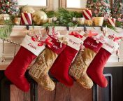 embellished velvet stockings l.jpg from stockings