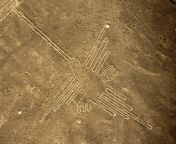 lineas de nasca colibri.jpg from el misterio de las lineas de nazca resuelto por los arqueologos