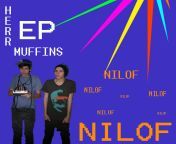 00 nilof herr muffins frontcover ep 2008 polka.jpg from nilof